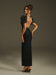 Robe longue bustier dos nu à strass