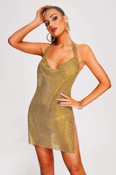 Metallic Mesh Mini Dress