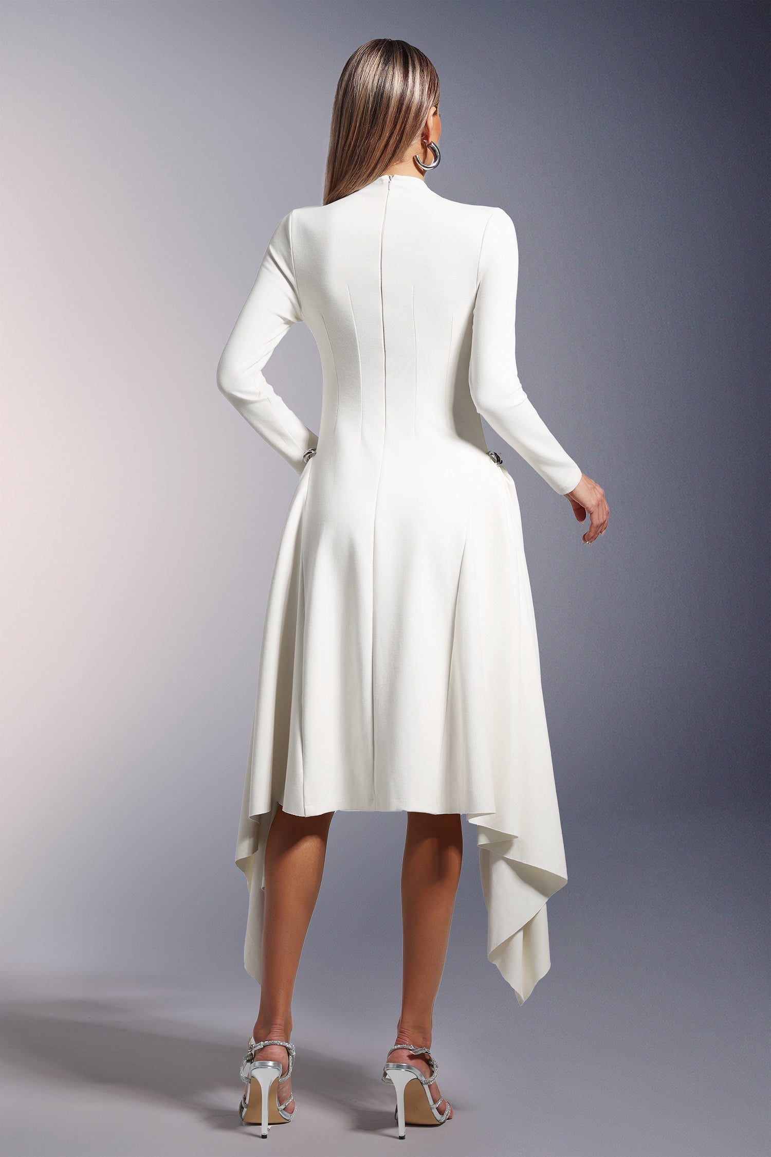 Long Sleeves  Midi Dress