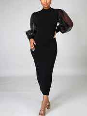 Elegant Mesh Long Sleeve Dresses