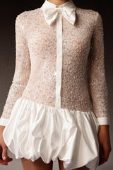 Robe mini bouffante longue sans manches en dentelle brodée et sequins 