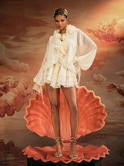 Long Sleeve Ruffled Mini Dress