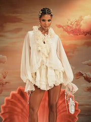 Long Sleeve Ruffled Mini Dress