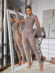 Rhinestone Mesh Jumpsuit In Silver