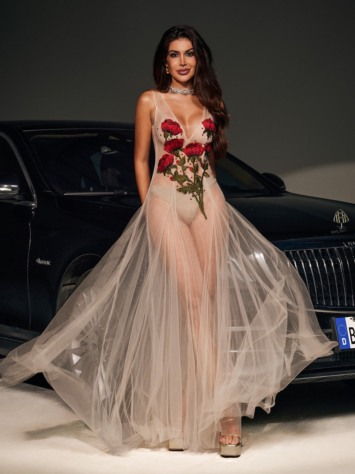 V Neck Flower Embroidered Mesh Dress