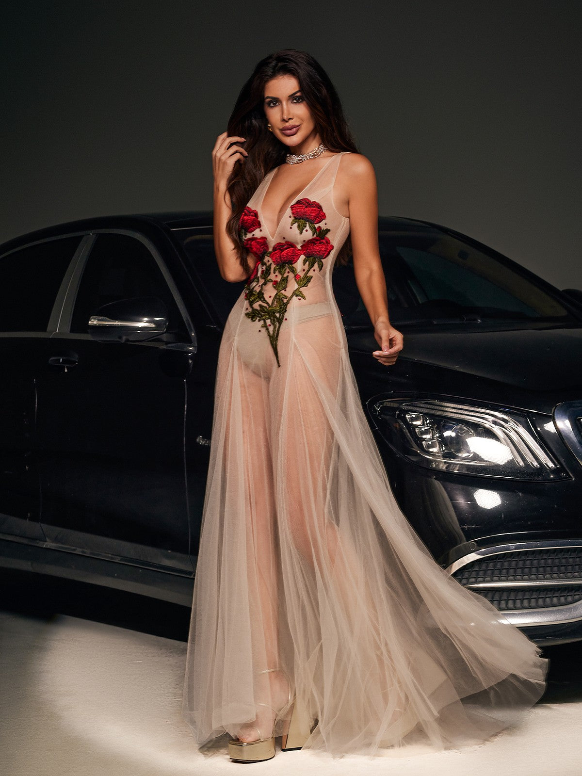 V Neck Flower Embroidered Mesh Dress