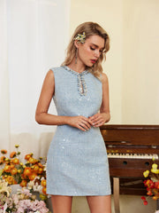 Sequin Vest Dress