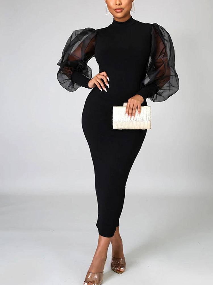 Elegant Mesh Long Sleeve Dresses