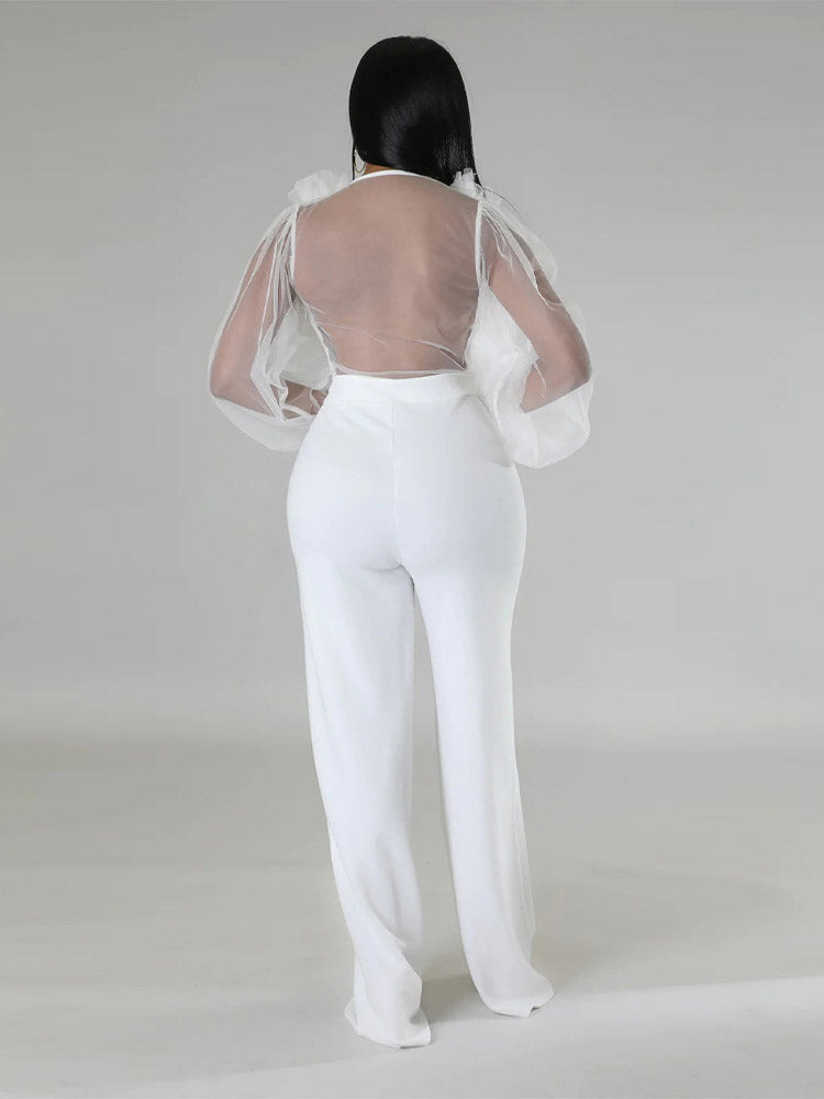 Mesh V Neck Jumpsuits